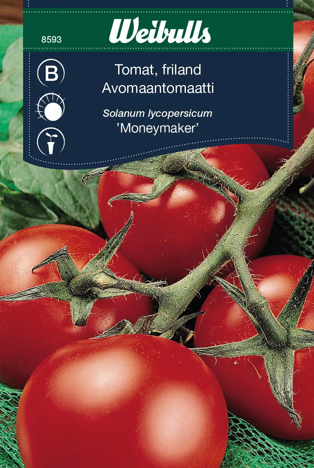 Tomat Moneymaker