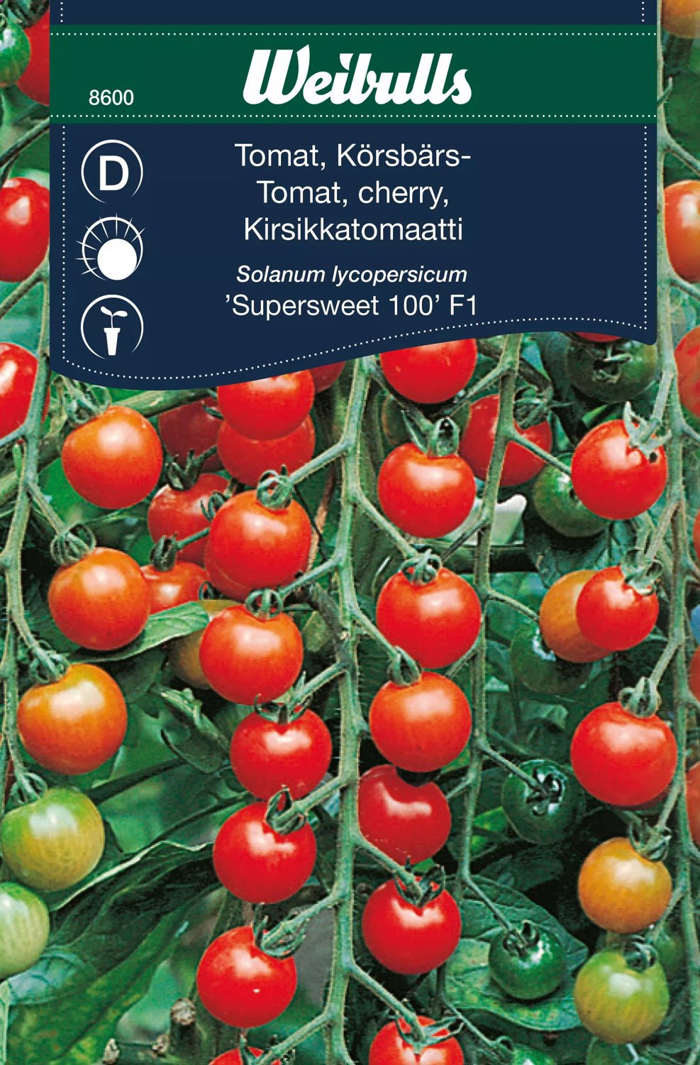 Körbärstomat Supersweet 100 F1