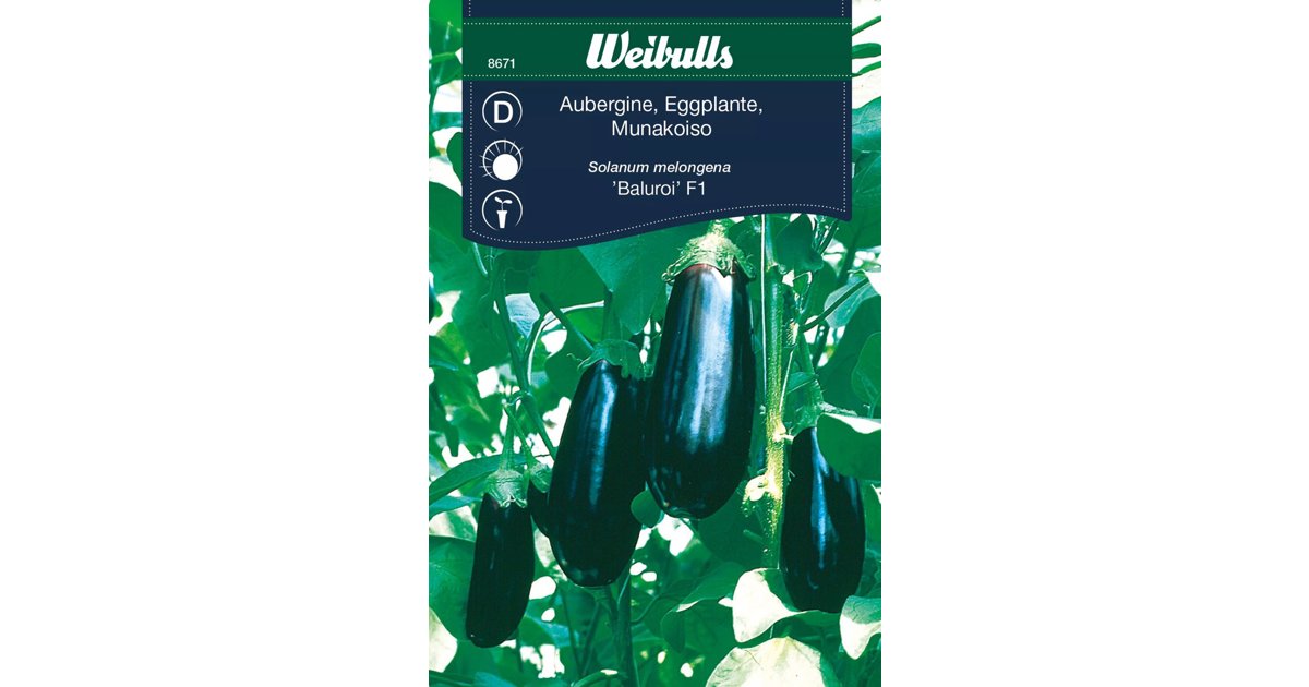 Aubergine Baluroi F1