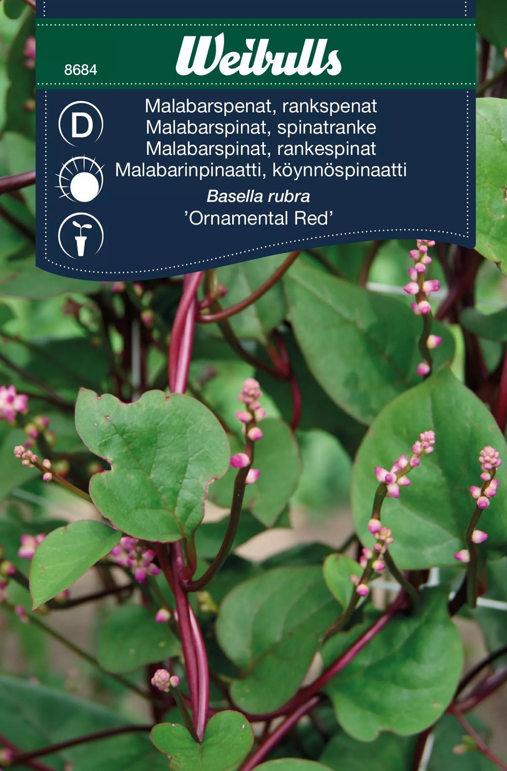 Malabarspenat, Rankspenat Ornamental Red