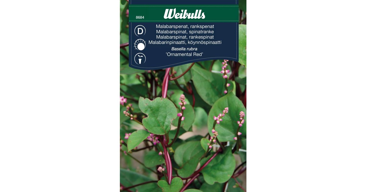 Malabarspenat, Rankspenat Ornamental Red