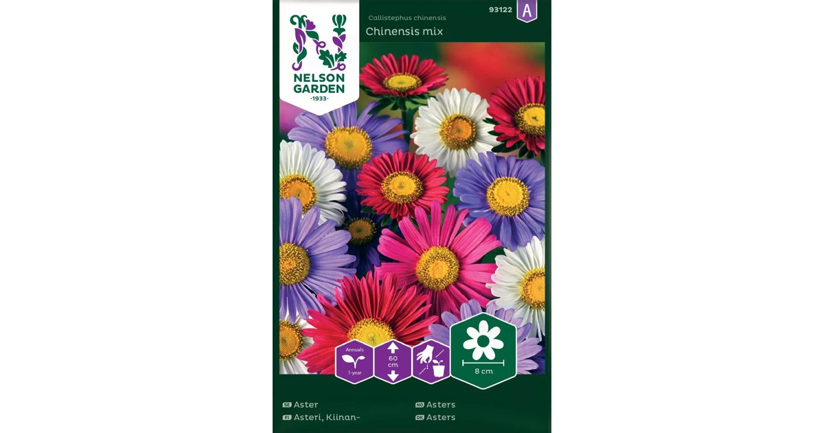 Aster Chinensis Mix