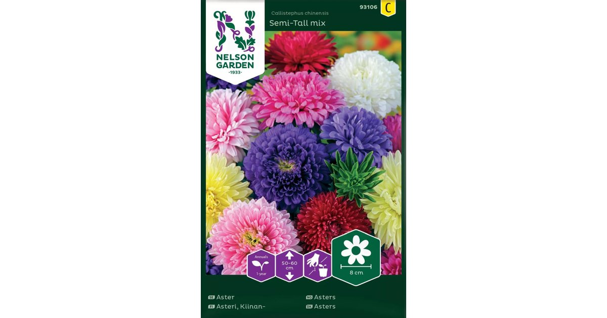 Aster Semi-Tall Mix