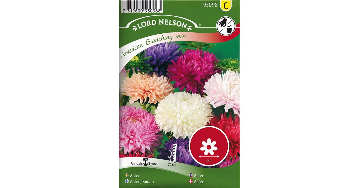 Aster American Branching Mix