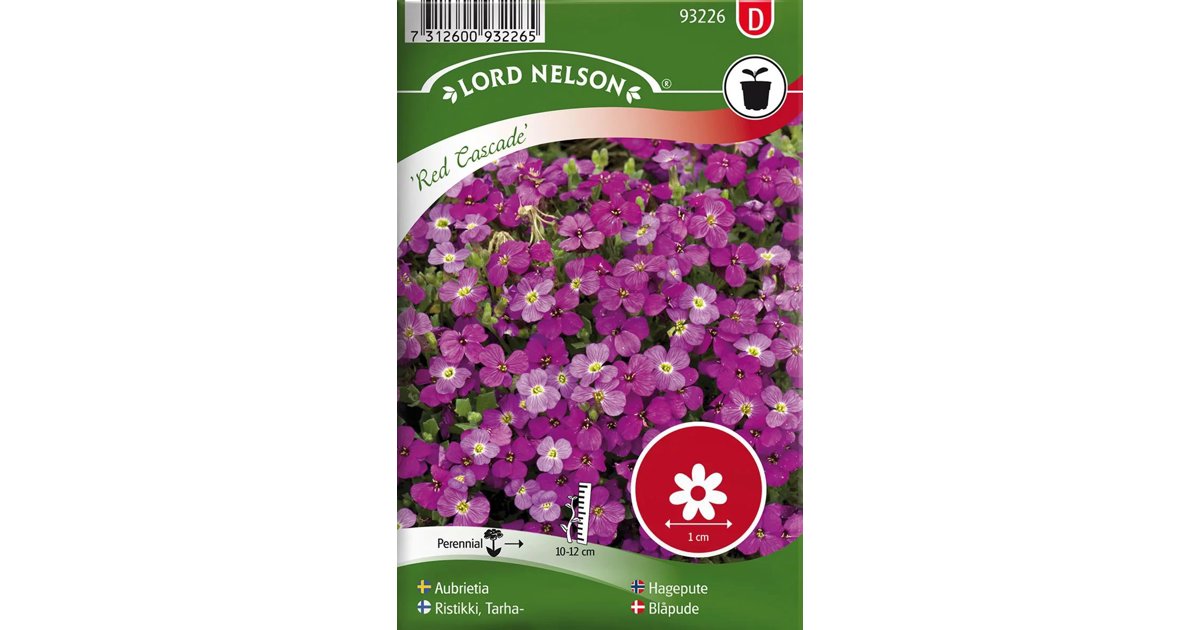 Aubrietia Red Cascade