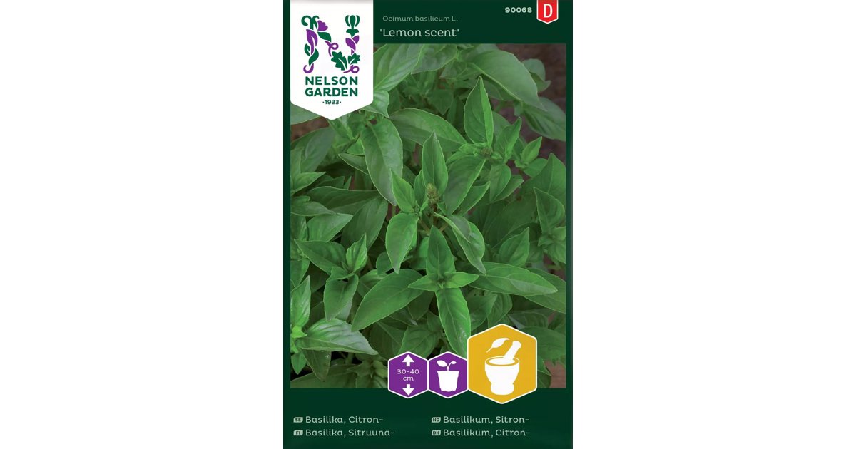 Citronbasilika Lemon Scent