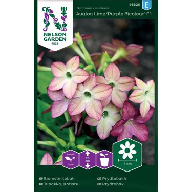 Produktbild på Blomstertobak 'Avalon Lime/Purple Bicolour' F1