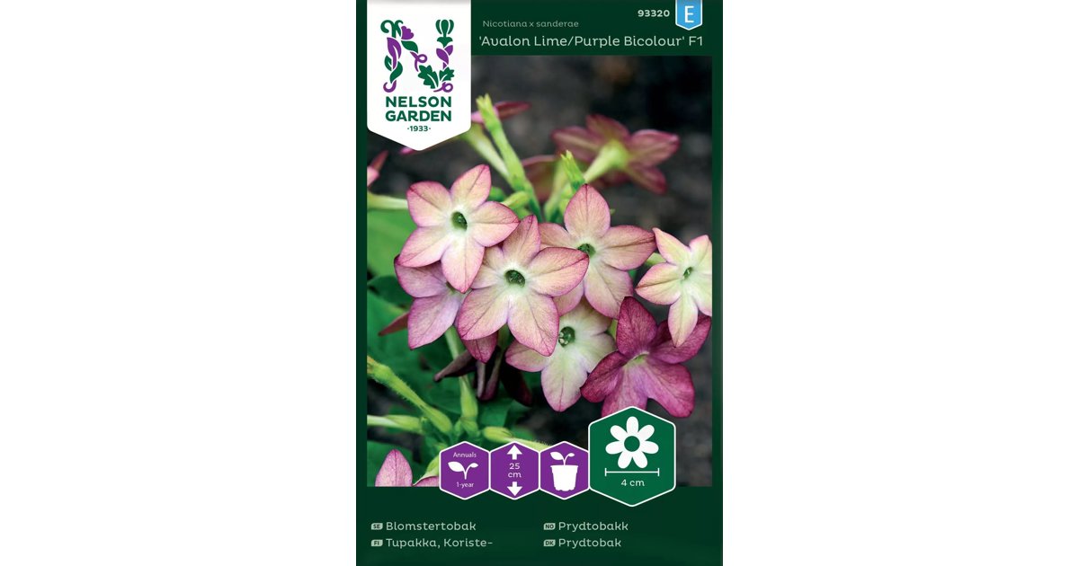 Blomstertobak Avalon Lime/Purple Bicolour F1