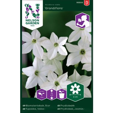 Produktbild på Blomstertobak 'Grandiflora'