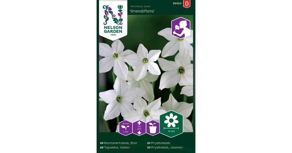 Blomstertobak Grandiflora