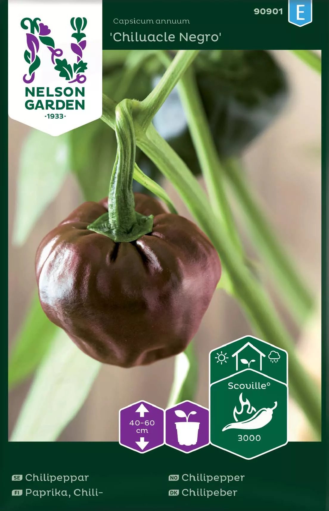 Produktbild på Chilipeppar 'Chiluacle Negro'