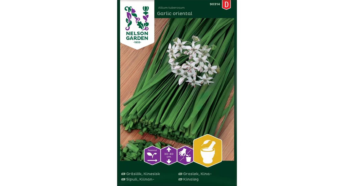 Gräslök, Kinesisk Garlic Oriental