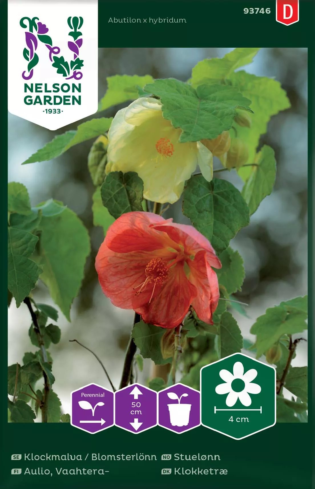 Klockmalva / Blomsterlönn