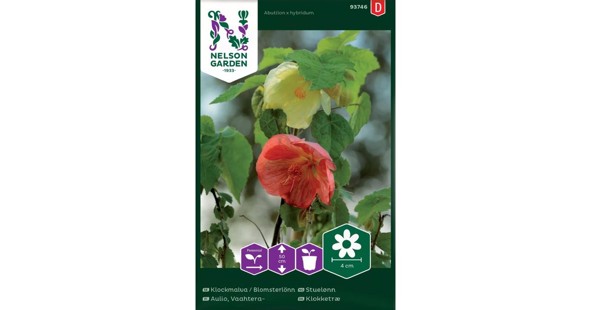 Klockmalva / Blomsterlönn