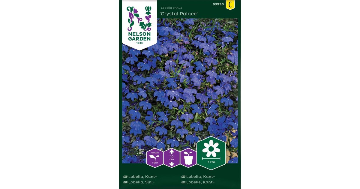 Kantlobelia Crystal Palace
