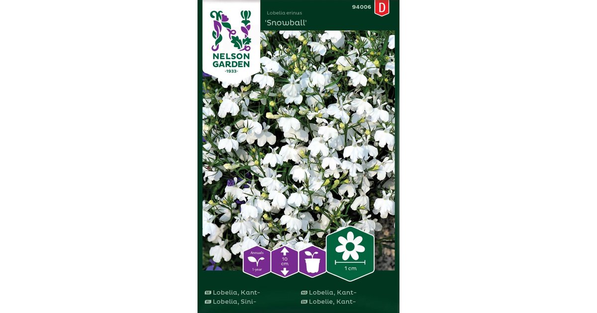 Kantlobelia Snowball