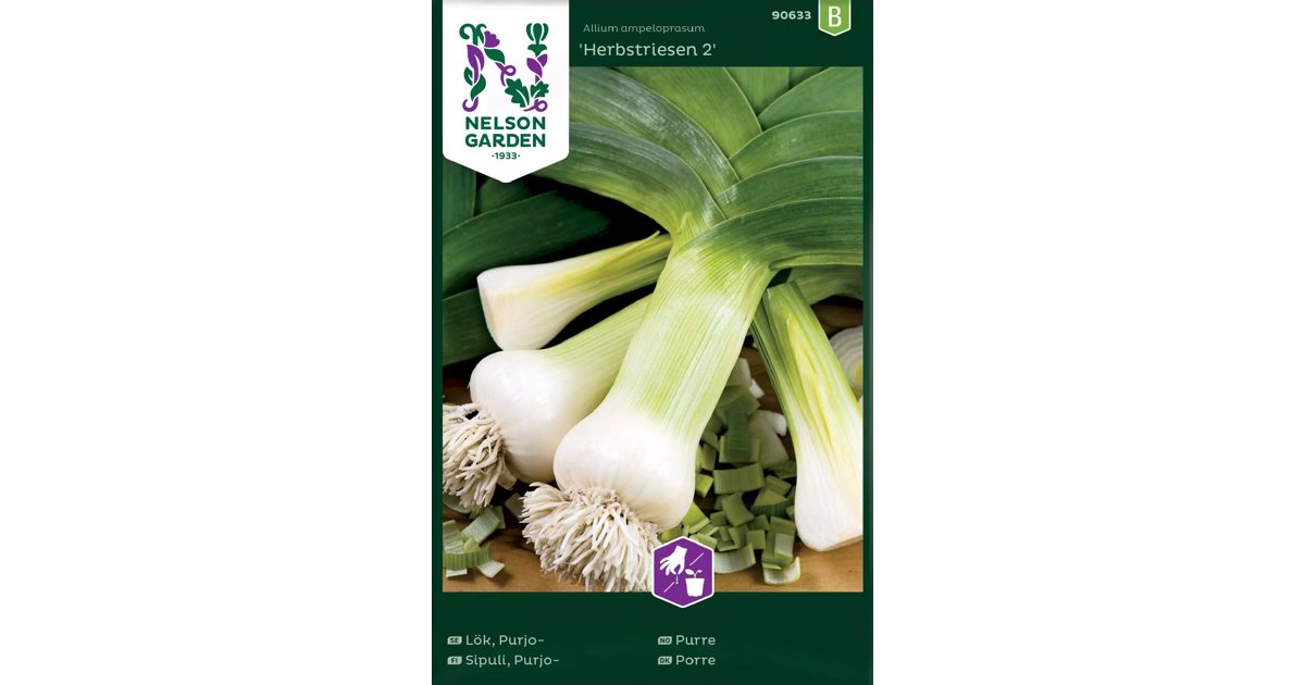 Purjolök Herbstriesen 2