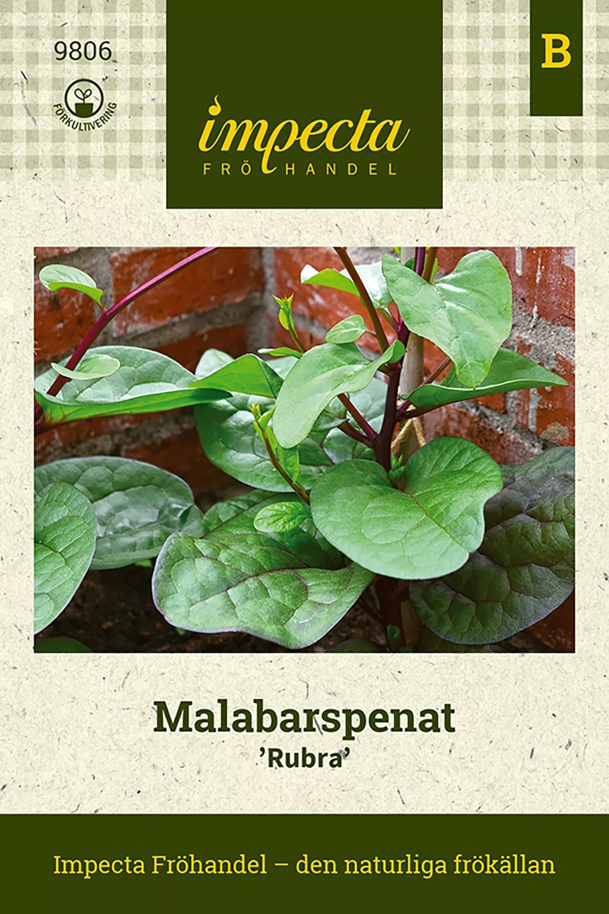 Malabarspenat