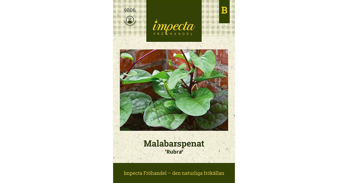 Malabarspenat