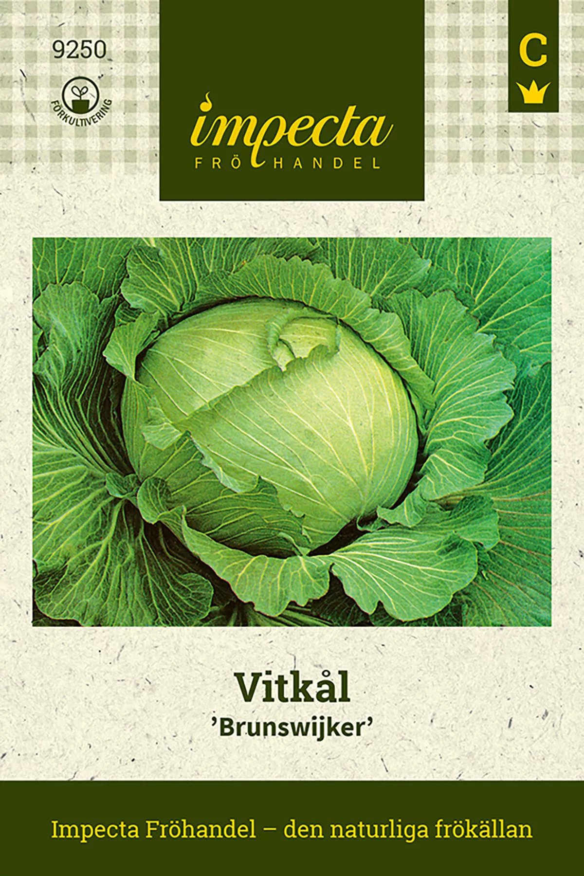 Vitkål Brunswick
