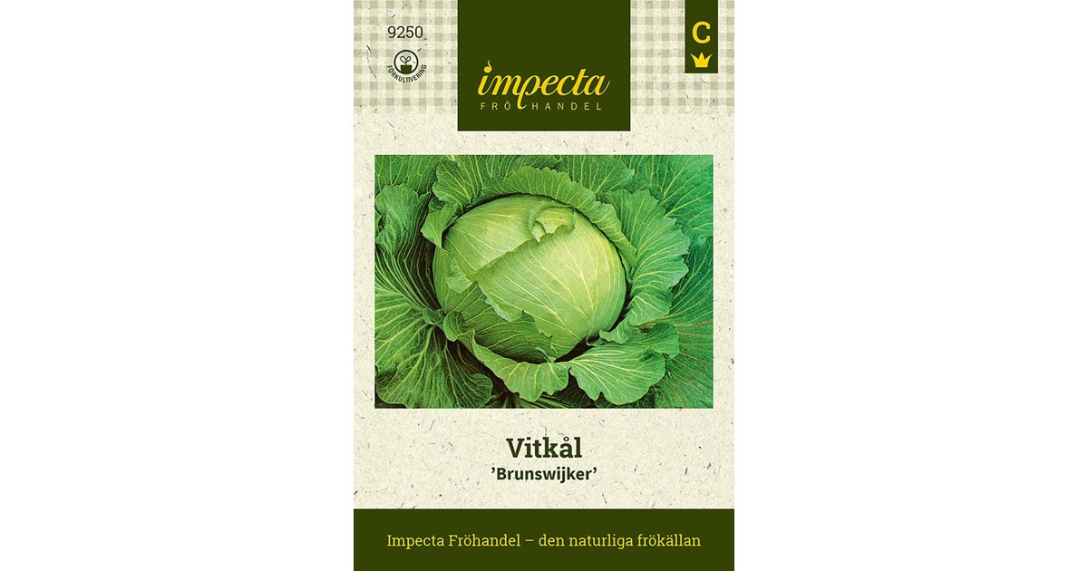 Vitkål Brunswick