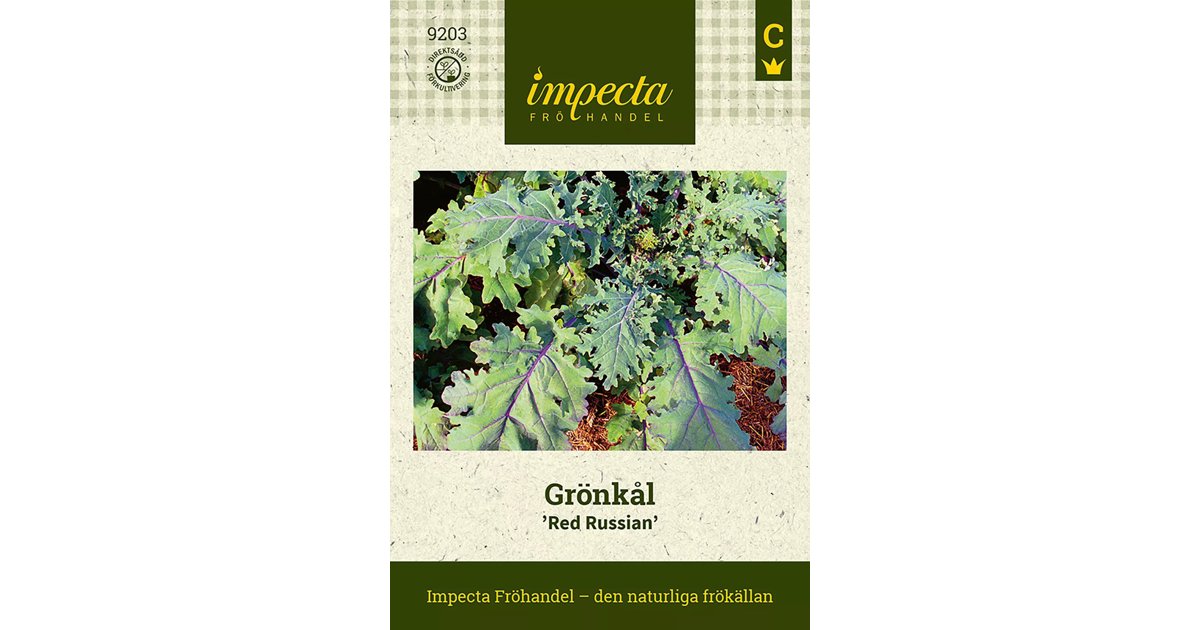 Grönkål/Sibirisk Bladraps Red Russian
