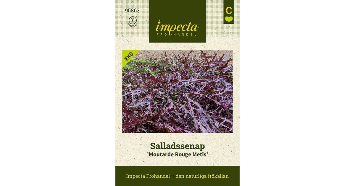 Sareptasenap/Salladssenap Moutarde Rouge Metis