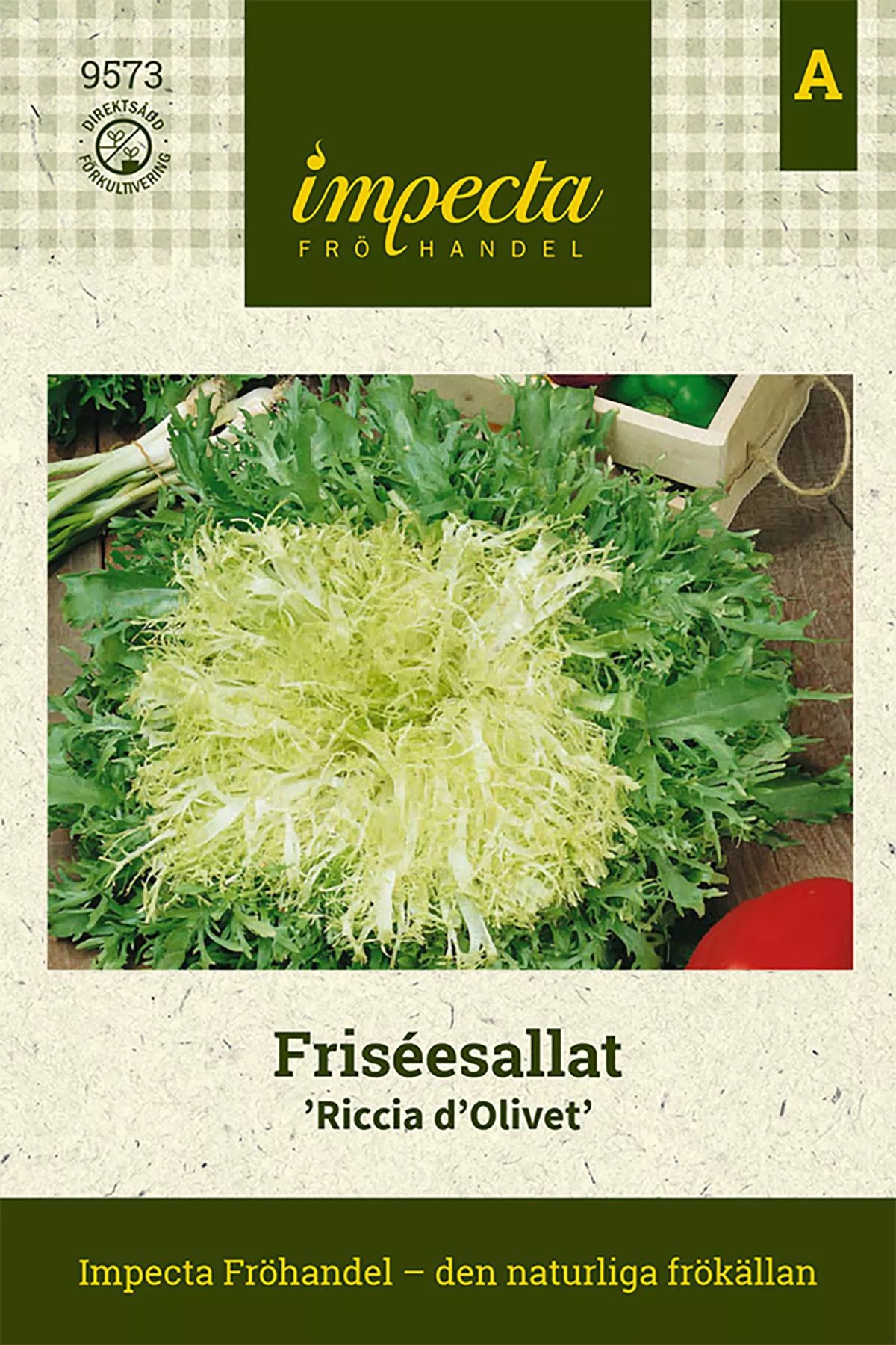 Friseesallat Ricciutissima Dingegnoli