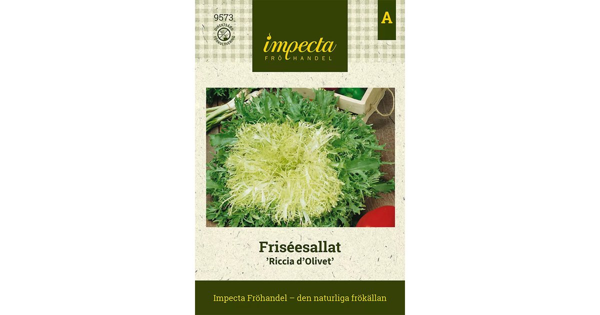 Friseesallat Ricciutissima Dingegnoli