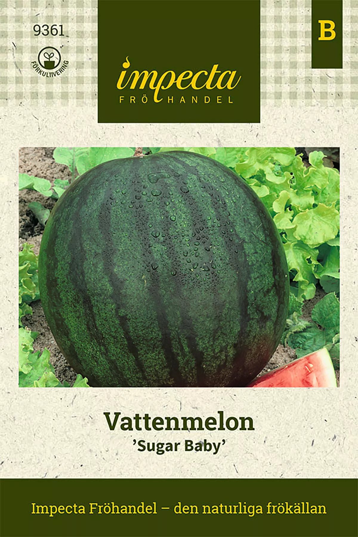 Vattenmelon 'Sugar Baby' 25 st
