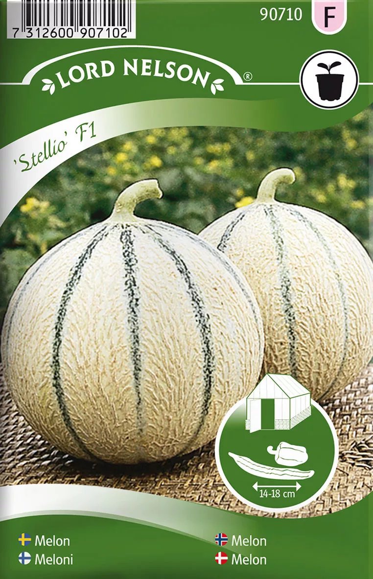 Melon Stellio F1