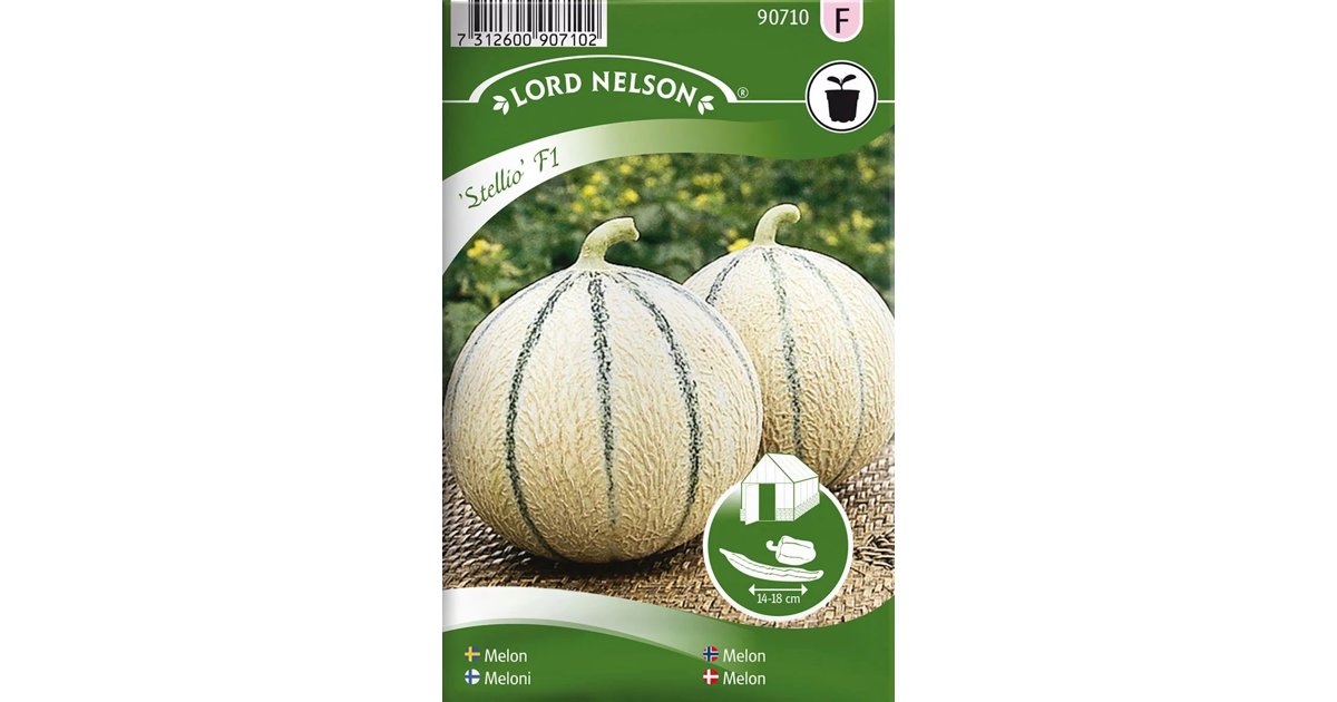 Melon Stellio F1