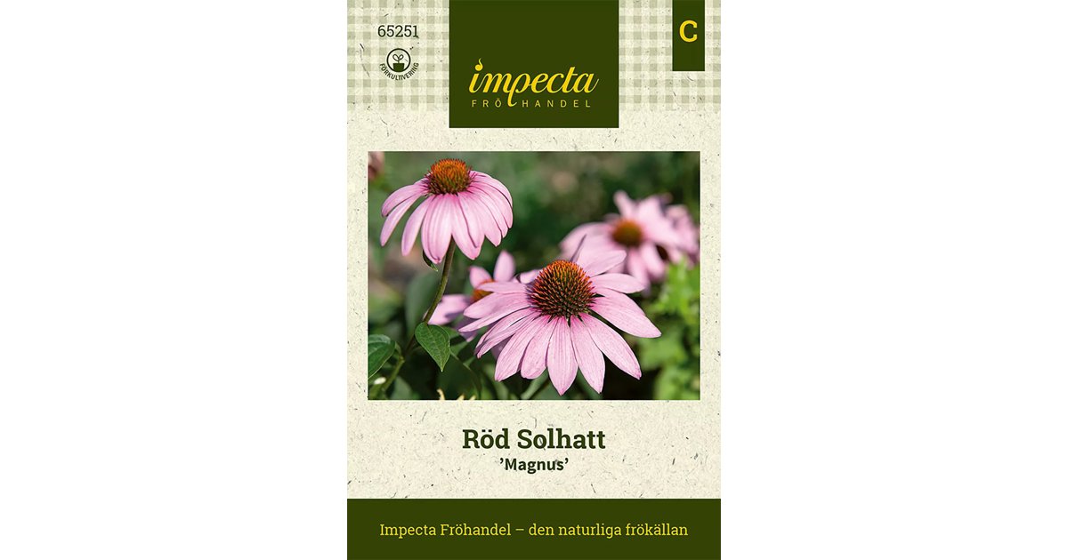 Röd Solhatt 'Magnus' 20 st