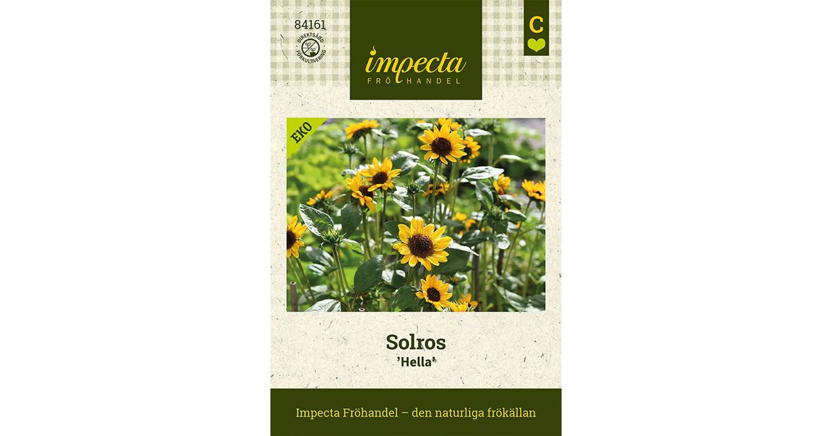 Solros Hella