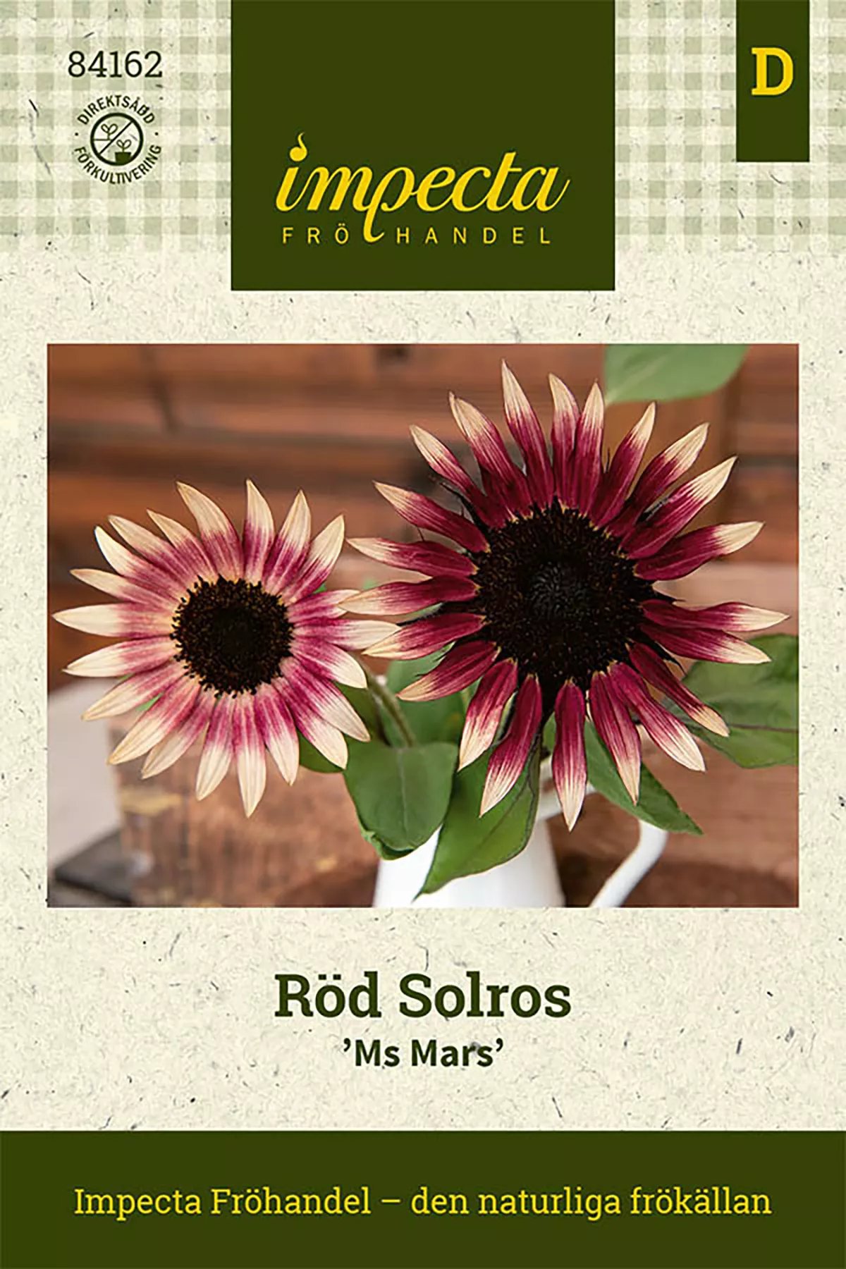 Röd Solros 'Ms Mars' 20 st