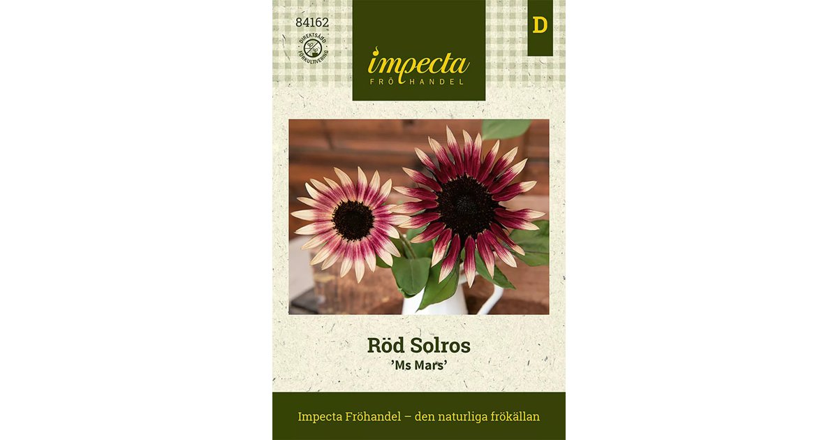 Röd Solros 'Ms Mars' 20 st