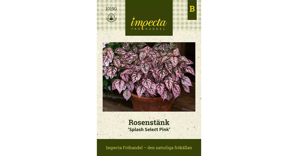 Rosenstänk Splash Select Pink