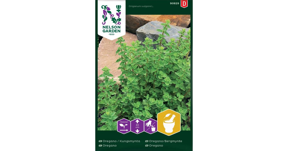 Oregano / Kungsmynta