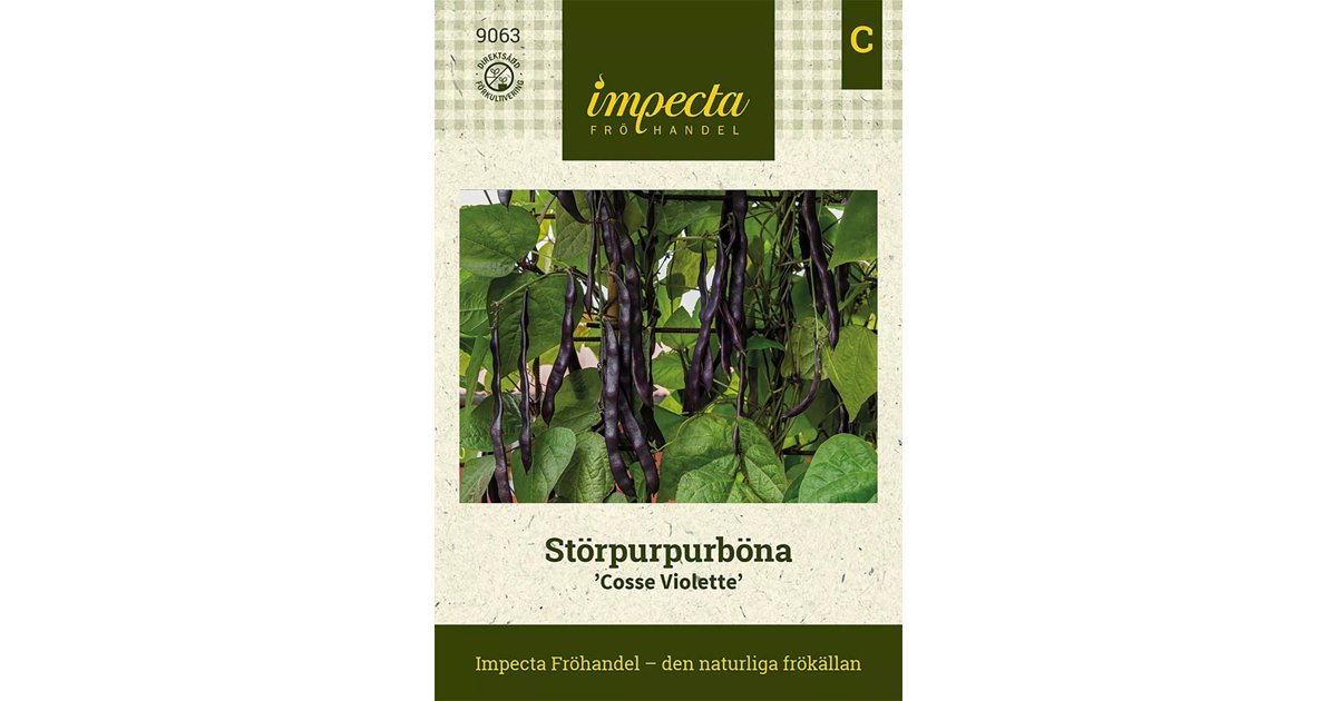 Störpurpurböna Cosse Violette