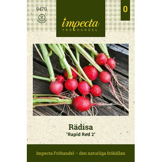 Produktbild på Rädisa 'Rapid Red 2'