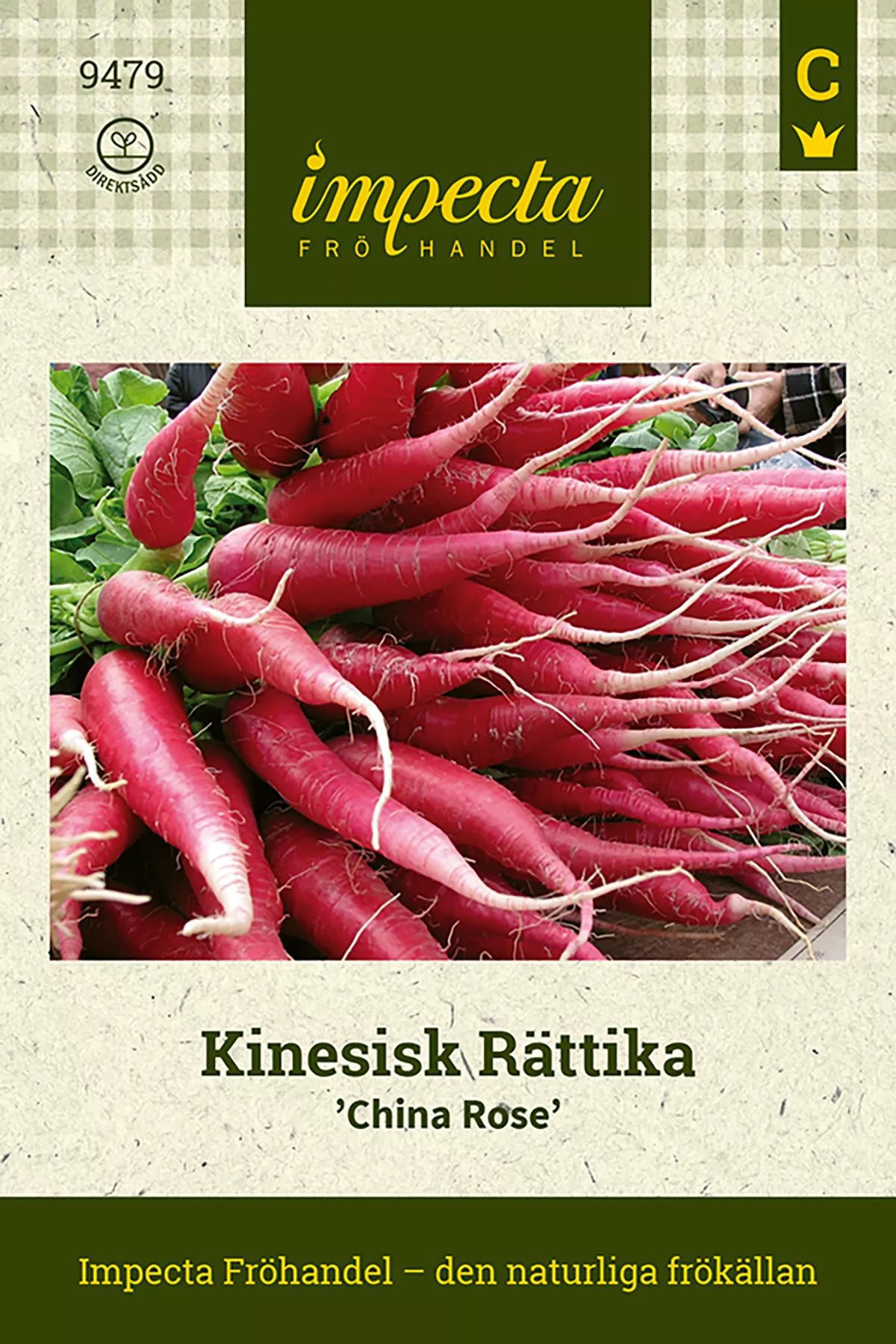 Kinesisk Rättika 'China Rose' 100 st
