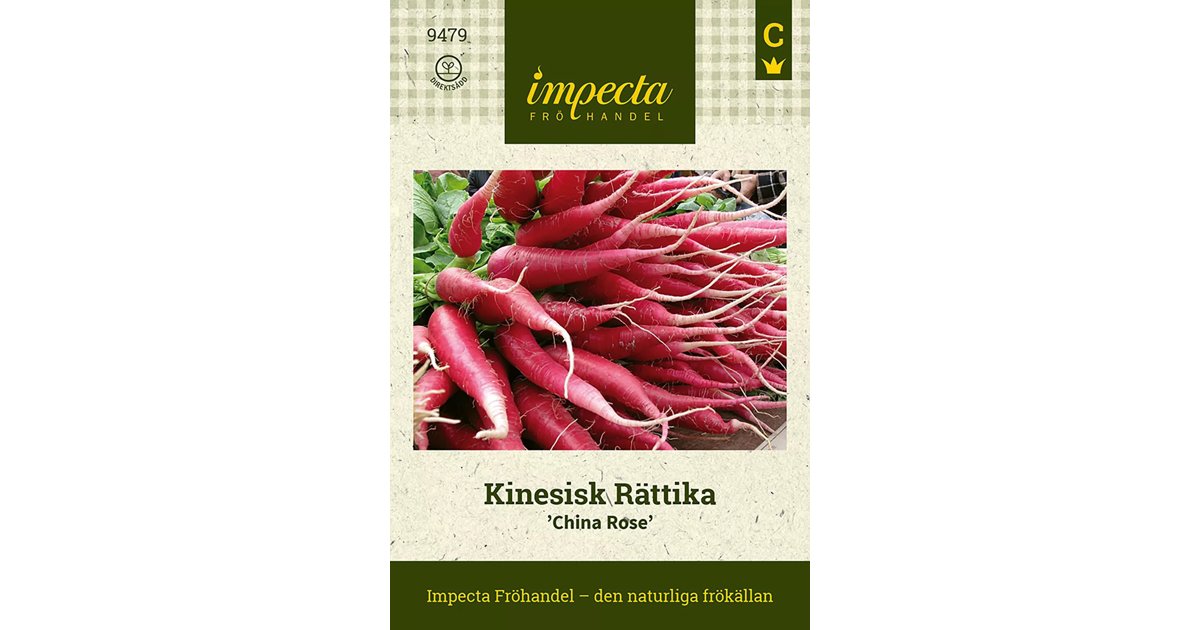 Kinesisk Rättika 'China Rose' 100 st