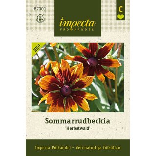 Produktbild på Sommarrudbeckia 'Herbstwald'