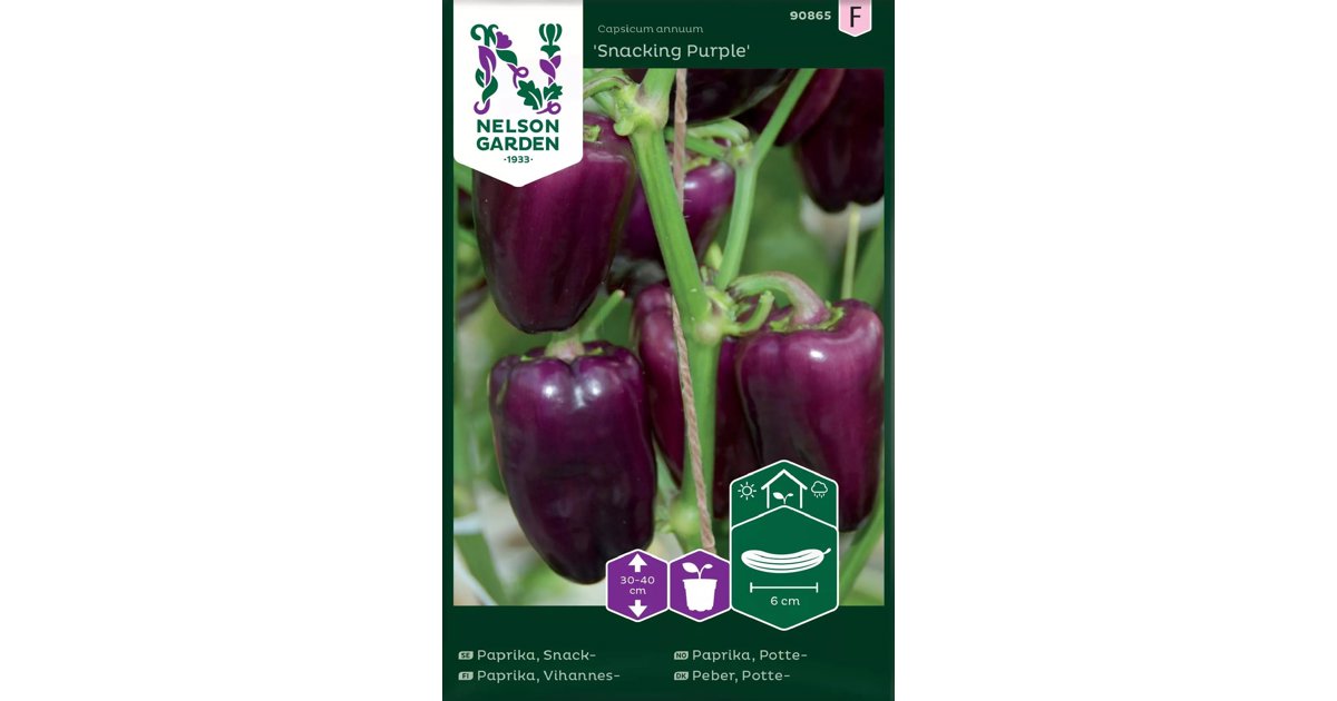 Snackpaprika Snacking Purple