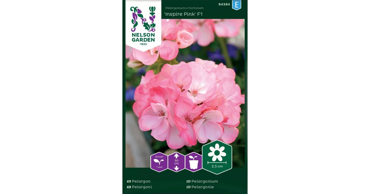 Pelargon Inspire Pink F1