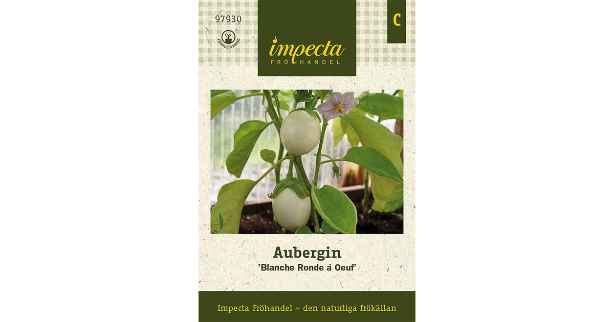 Aubergin Blanche Ronde Á Oeuf