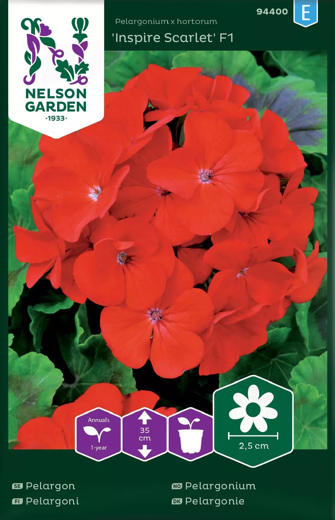 Pelargon Inspire Scarlet (Inspire Scarlet, Pelargon Inspire, Pelargon Inspire Scarlet, Denna sort) Pelargon Inspire Scarlet