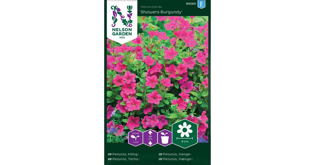 Hängpetunia Showers Burgundy