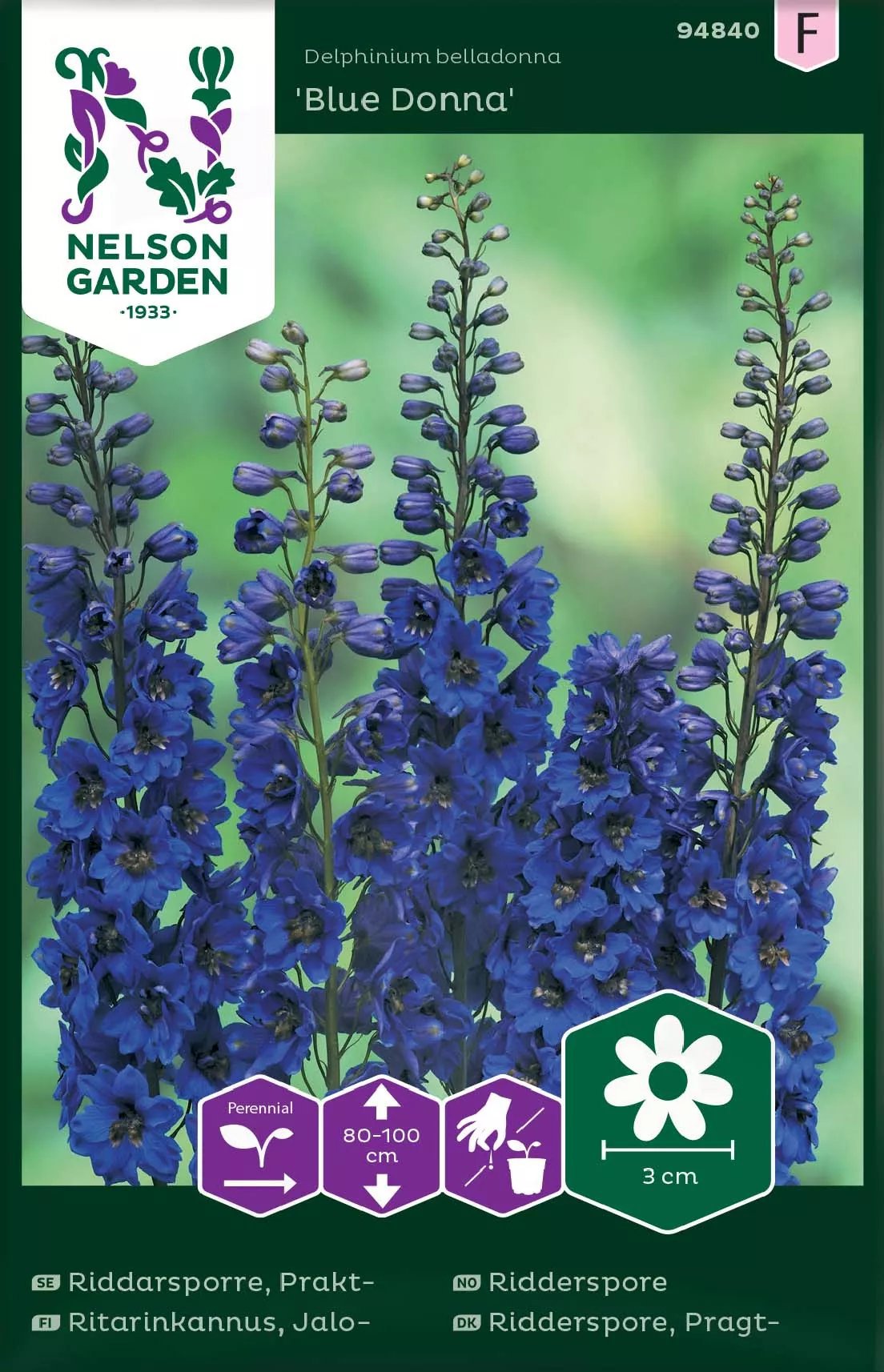 Praktriddarsporre Blue Donna