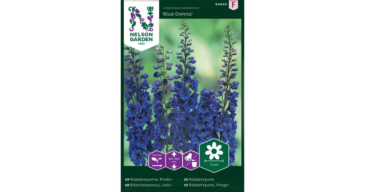 Praktriddarsporre Blue Donna